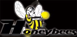 Honeybees Dsseldorf