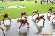 Thumbs/tn_IMG_1952.jpg