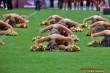 Thumbs/tn_IMG_5795.jpg