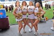 Thumbs/tn_JMG_0488.jpg