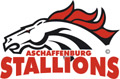 Stallionettes und Sparkling Colts - Aschaffenburg