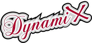 DynamiX Cheerleader - Cheer&Stunt Team - Troisdorf