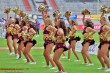 Thumbs/tn_JMG_0282.jpg