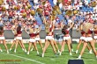Thumbs/tn_IMG_1960.jpg