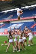 Thumbs/tn_IMG_6203.jpg
