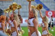 Thumbs/tn_IMG_6502.jpg