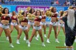 Thumbs/tn_IMG_7520.jpg