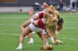 Thumbs/tn_IMG_7647.jpg