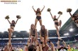 Thumbs/tn_IMG_8971.jpg