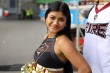 Thumbs/tn_IMG_8976.jpg